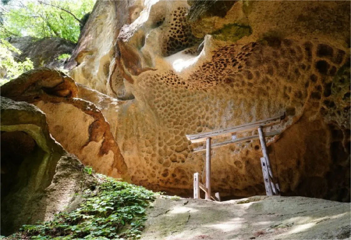 峯の浦　垂水遺跡